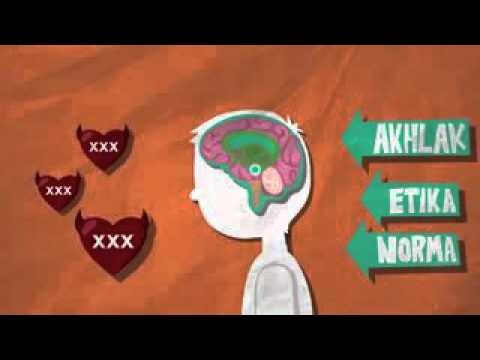 WASPADA !!!!!! OTAK YANG RUSAK KARNA PORNOGRAFI.... ORANG TUA YANG BAIK HARUS TONTON...