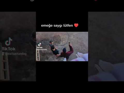 Hozan Haşim Ninna