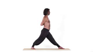 Intense Side Stretch Pose 2 - Parshva Uttana Asana