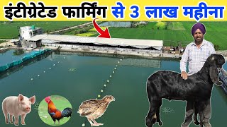 बकरी, मुर्गी, मछली, सूअर, बटेर Farming से 3 लाख महीना कमाई | IFS