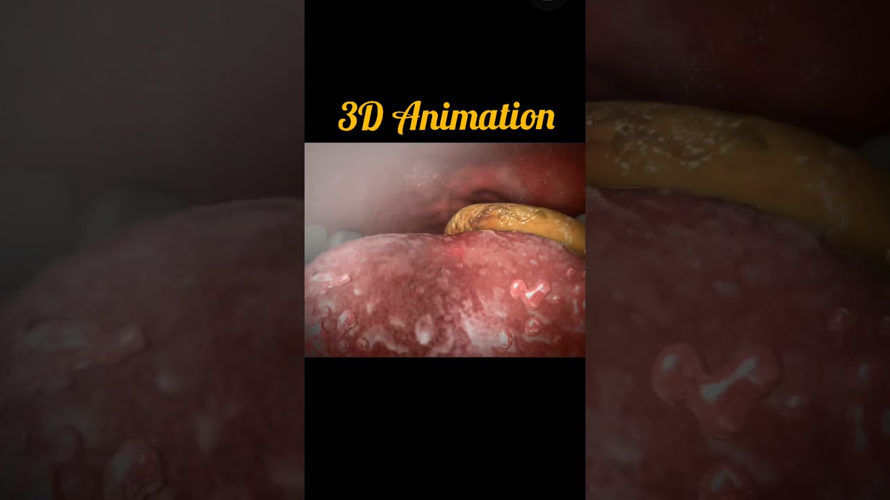 3D Animation Chewing And Swallowing Easy Understanding Problem Solved Anatomy3d