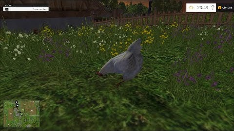 Farming Simulator 2015 - How to farm chickens