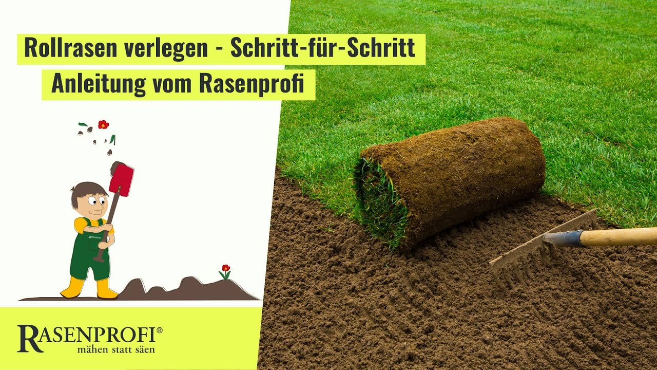 Rollrasen richtig verlegen - Rasenprofi