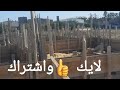 طريقه عمل نجاره الكتينه المسلحه شده سوريه 