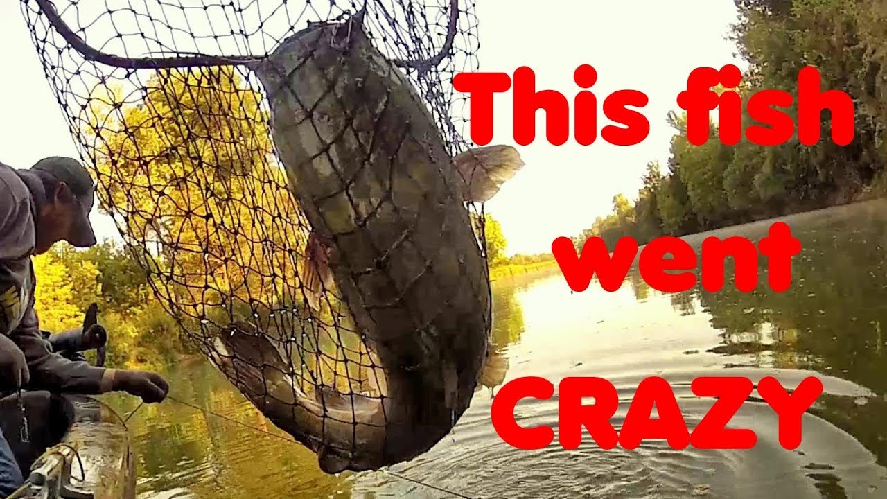 Fishing for catfish with live bait Trotliners YouTube