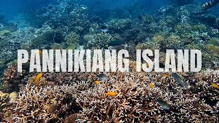 The Hidden Paradise of Pannikiang Island