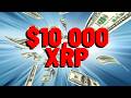 $10,000 - XRP Creator Explains -Report