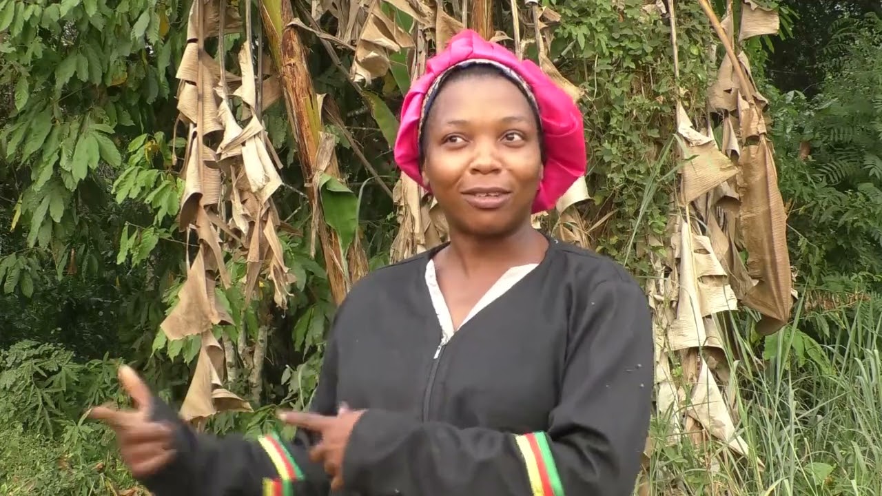 BRISER LES BARRIERES, L'ENTREPRENEURIAT FEMININ AU SUD Cameroun