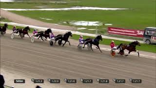 Vidéo de la course PMU PRIX BREEDERS SEMINAR 31 MAART