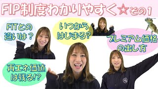 FIP制度をわかりやすく解説☆その１