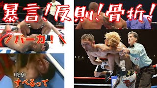 【格闘技】胸くそ悪い試合6選！【MMA・ボクシング・骨折・反則】