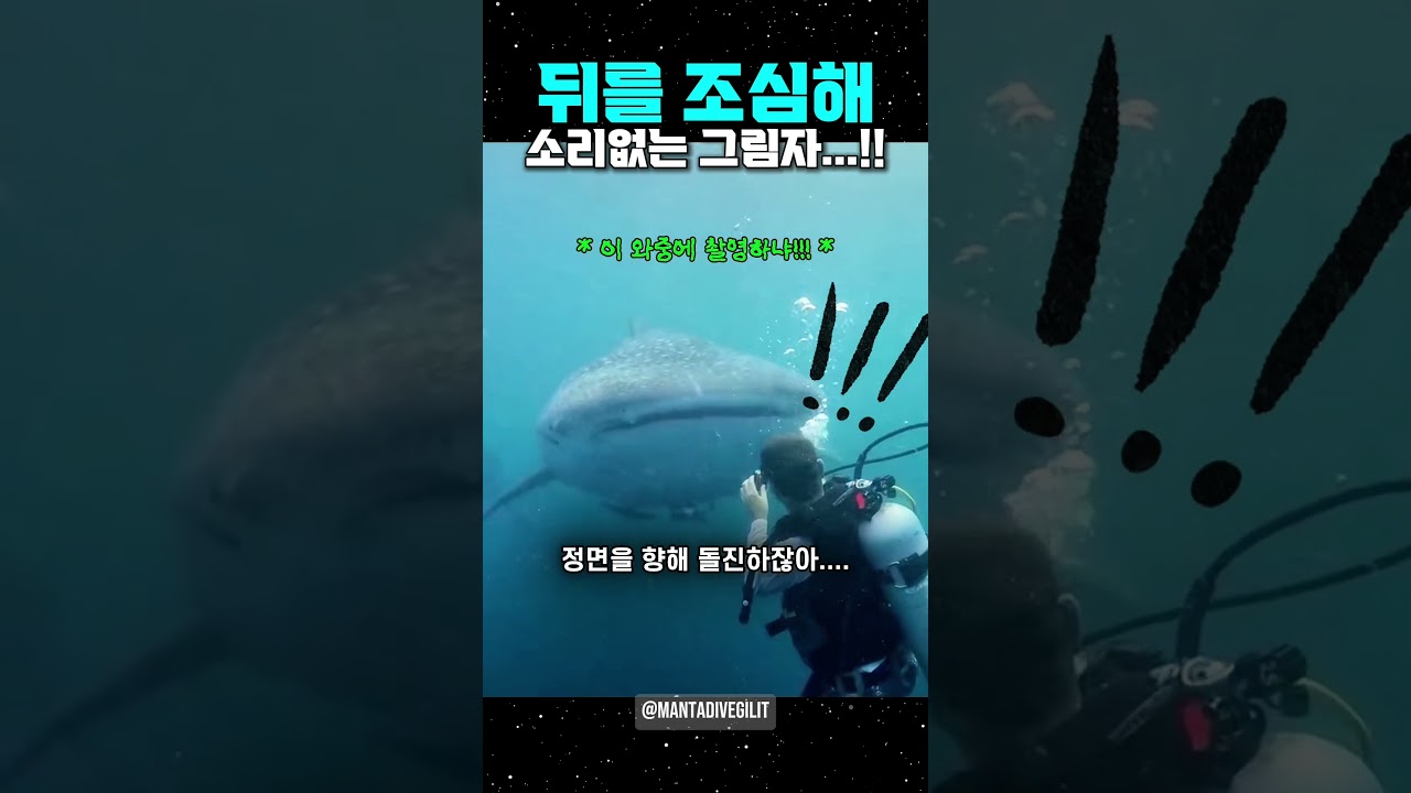 뒤를 조심해!! 소리없는 그림자...