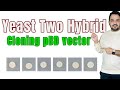 Yeast two hybrid y2h assay  cloning pgbkt7 vector