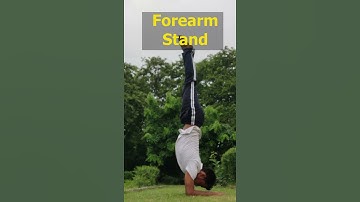 Step by Step Forearm Stand only in 5 Minutes 🔥 #shorts #yogasana