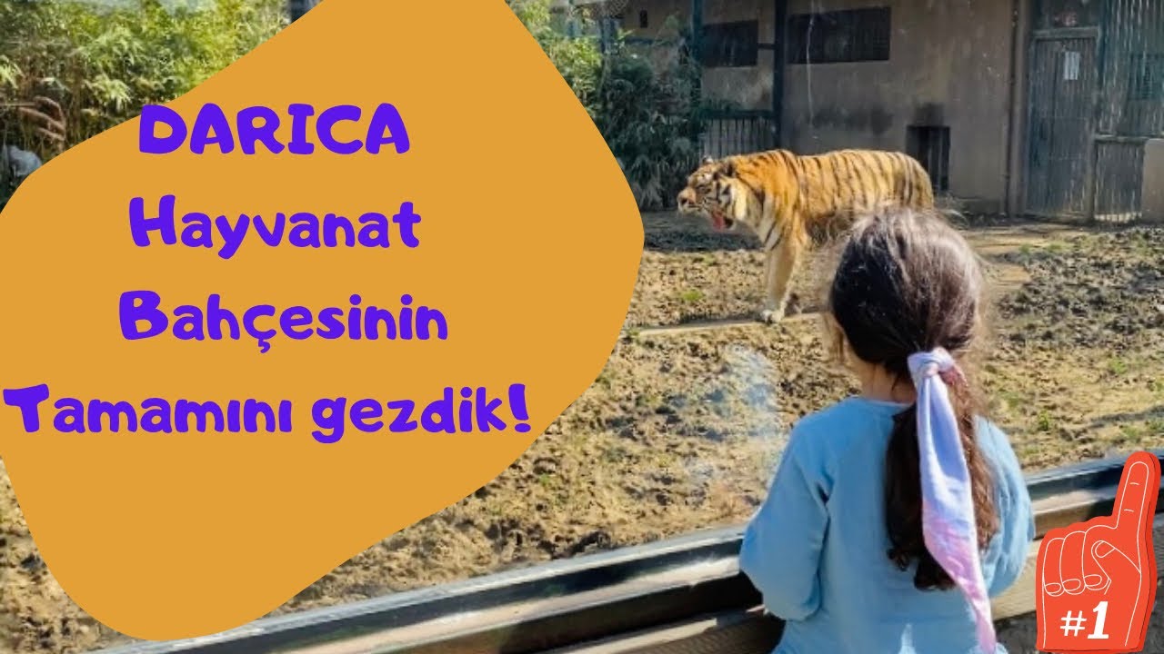Darıca Hayvanat Bahçesi, En Kapsamlı Video,İstanbuldan Darıcaya Nasıl Gittik, 4k kalitesi,part1