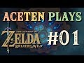 The Legend of Zelda: Breath of the Wild [#01] - Waking Up from the Longest Nap Ever
