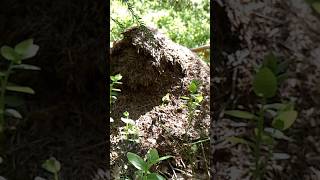 Urlaub Am See In Schweden