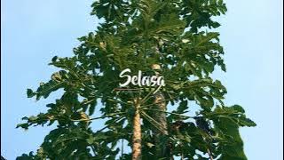 story wa SELASA ceria