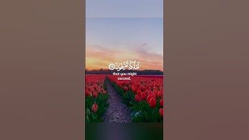 فاذكروا آلاء الله لعلكم تفلحون- القارىء رعد محمد الكردي حالات واتس اب دينية قصيرة قران كريم تلاوة