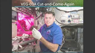 The Veggie Vegetable Production System on The ISS