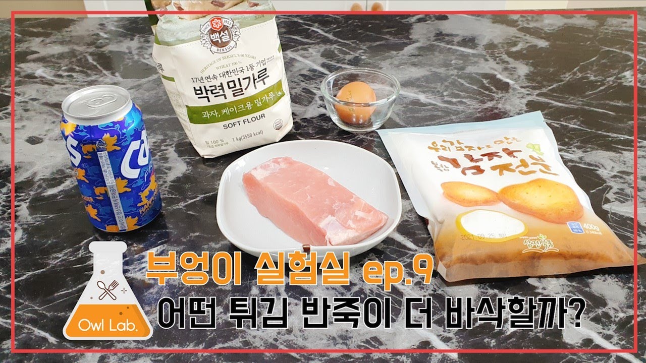 [Food Lab.] 밀가루 튀김옷에 어떤걸 섞으면 바삭할까? 바삭한 튀김옷의 비밀을 알아봅시다 by_jinya