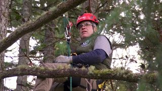 Get to Know the Guys of Canopy Cat Rescue