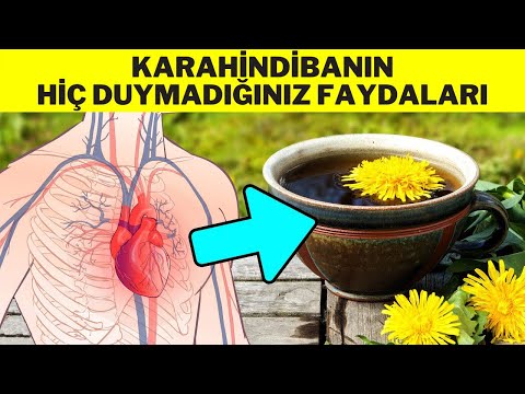 Video: Karahindiba yeşillikleri potasyumda yüksek midir?