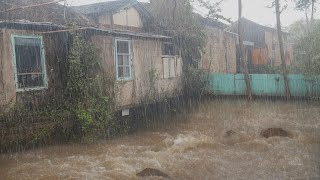 My Village Was Almost Flooded!! Because the Rain is Very Heavy || Relaxation For Fast Sleep