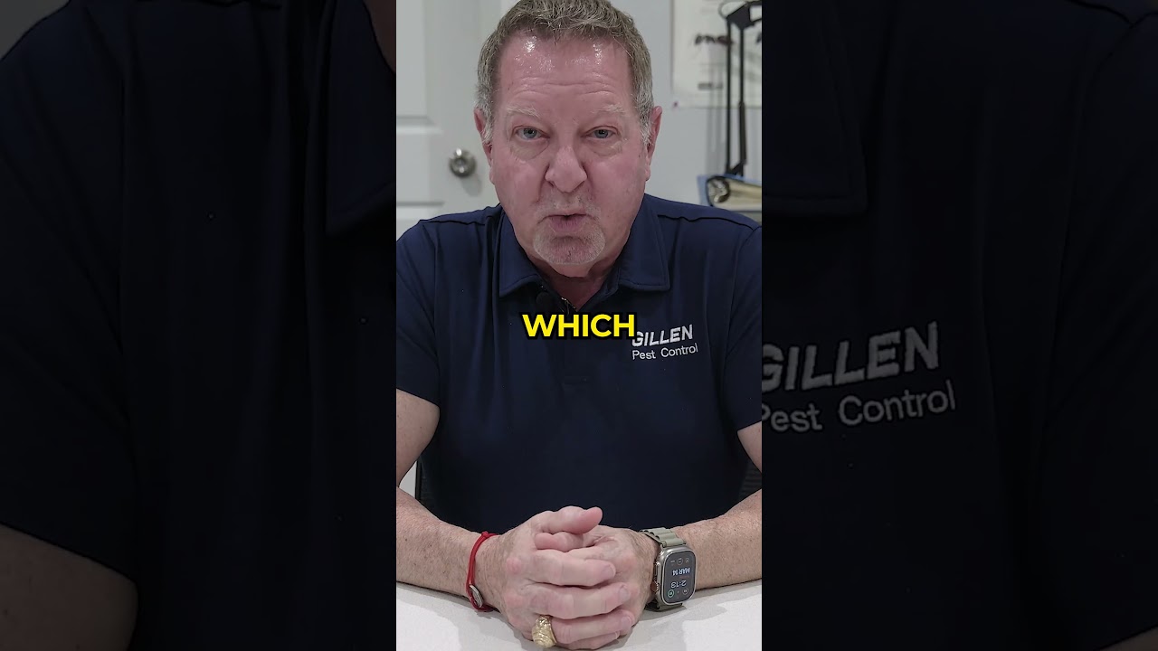 The Strange Life Of A Termite Queen 