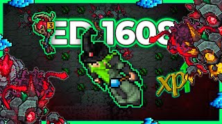 ED 1608 Hunt x4 Gloom Pillars 18.3kk/h Raw + 8.2kk Profit - Tibia Hunt [14.12] #tibia #tibiahunt