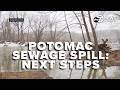 DC Water, Va. and Md. health officials provide next steps in sewage spill repairs