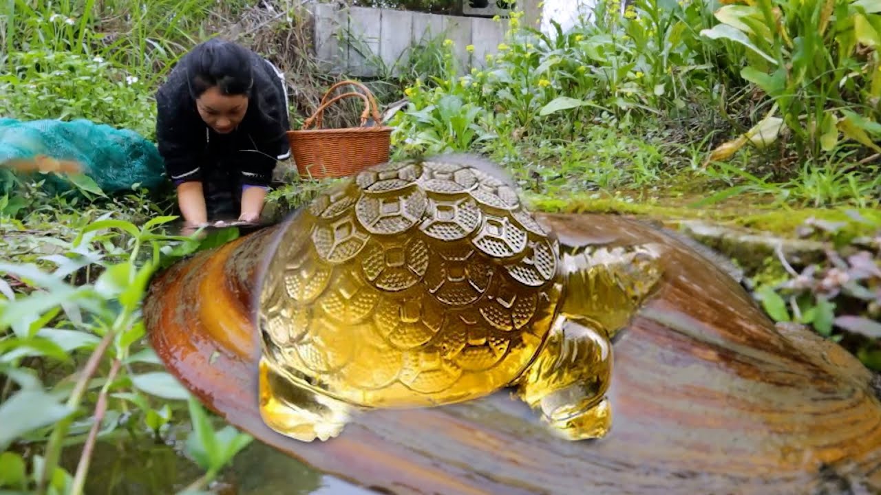 🫣 💎  The Most Beautiful Pearl in the Pearl Kingdom: The Pearl Kingdom of Giant Clams