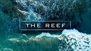 Florida's Coral Reef - Secret Spots In Florida, Usa Filmed With Drone | 4K
