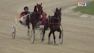 Vidéo de la course PMU PREMI SIURELL DES PONT