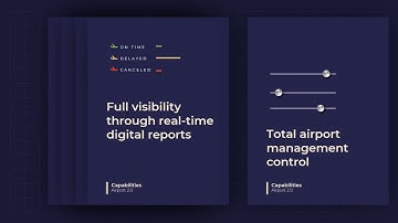 Animated PowerPoint Presentation / Pitch Deck for Grape Avia