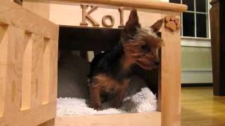 Wood dog crates carriers & kennels walmart . , . . . . Shop wood dog crates carriers & kennels at walmart and save. Buy kosmo dog 