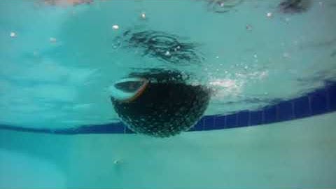 GuardBot Amphibous Robotic Vehicle Operating In Water