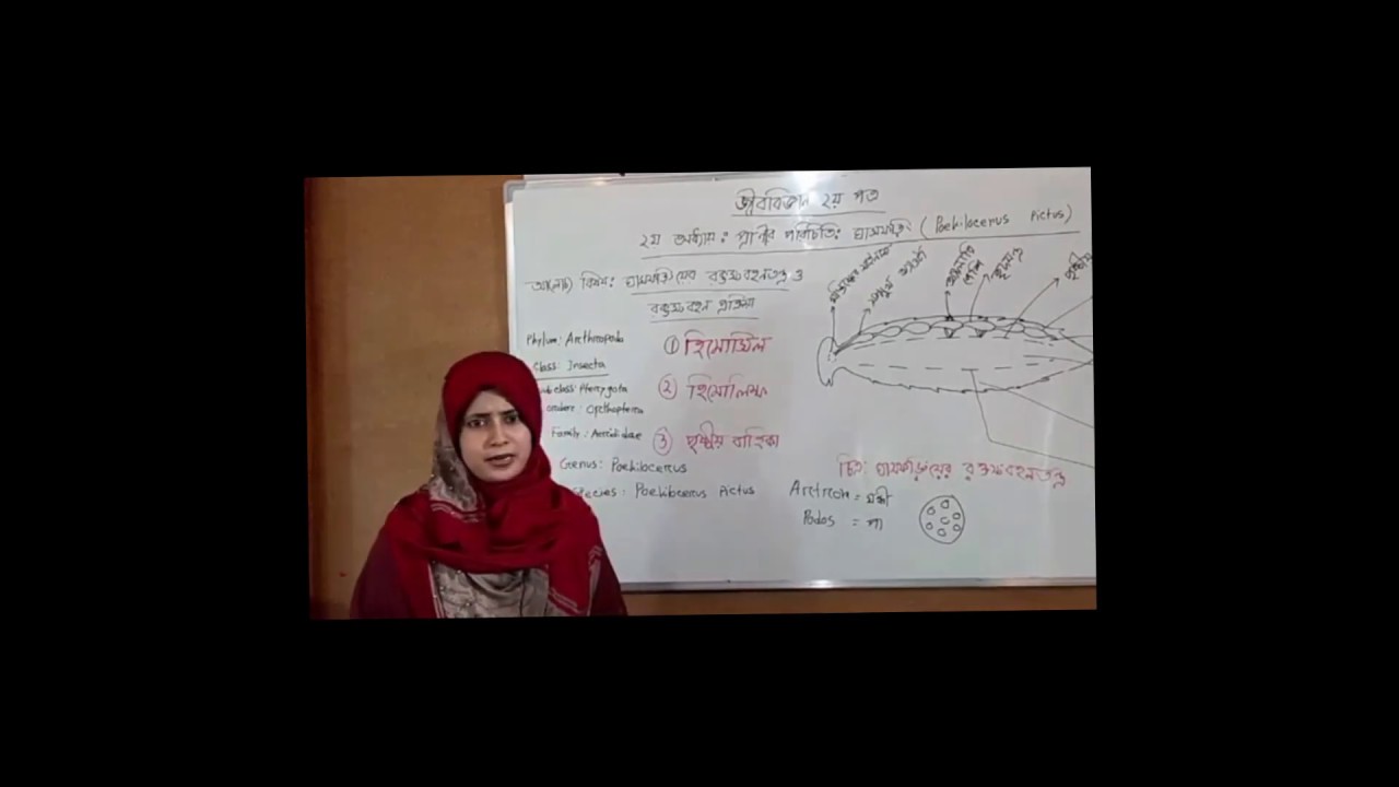 Biology Live Class || Eleven -Twelve