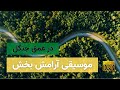 موسیقی آرامش بخش در 20 دقیقه همراه تصاویر زیبای طبیعت در میان جنگل 