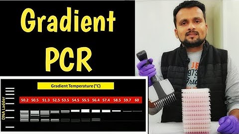 Gradient PCR (Polymerase Chain Reaction)