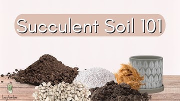 Soil 101 | How to Make a Potting Mix for Succulents and Cacti