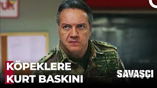 Buradan Bir İt Sürüsü Geçmiş - Savaşçı