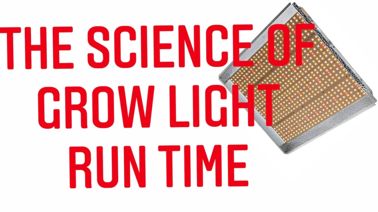 Can You Leave Your Led Grow Lights On All The Time. The Science Of Light 💡 | Gardening In Canada