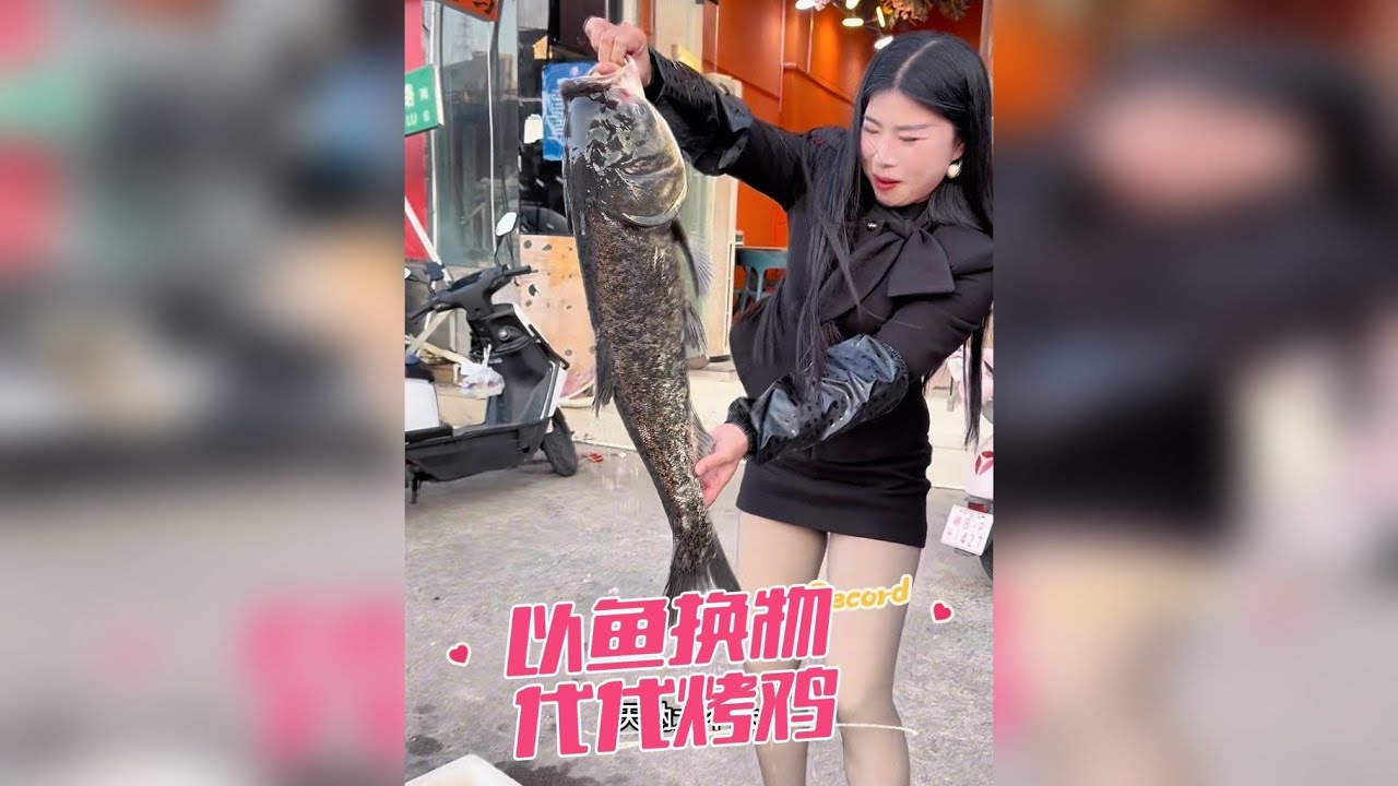 以鱼换物，感谢人美心善代代老板娘的烤鸡，钓几条大鱼送给她