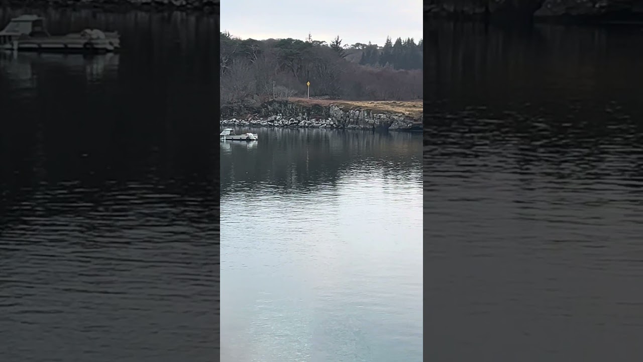 Beautiful Isle of Mull/the peaceful village of Ulva Ferry ⛴️ 