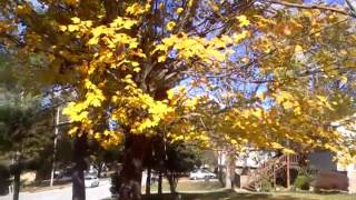 November 6, 2014, @1:39pm Chattanooga, Tennessee