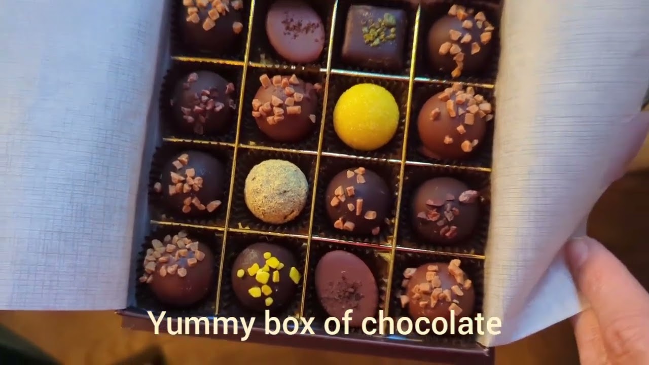 Christmas in Vienna 🎄 Day Five, Dinner cruise on the Danbue River 🛥️ Globe museum 🌍 Downtown Vienna