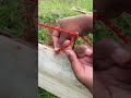 This Simple Knot Beats Them All #camping #diy