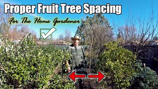 What's The Proper Fruit Tree Spacing For The Home Gardener?