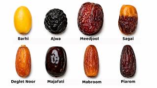 The Fruit Once Reserved for Kings - 19 Date Varieties Explained